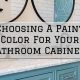 2023-07-22 Serious Business Painting Oldham County Choosing A Paint Color For Your Bathroom Cabinets